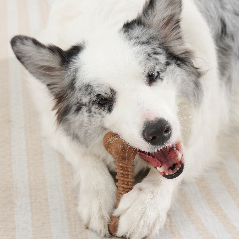 M Pets Chewood Bone Chew Toy for Dogs (Brown)