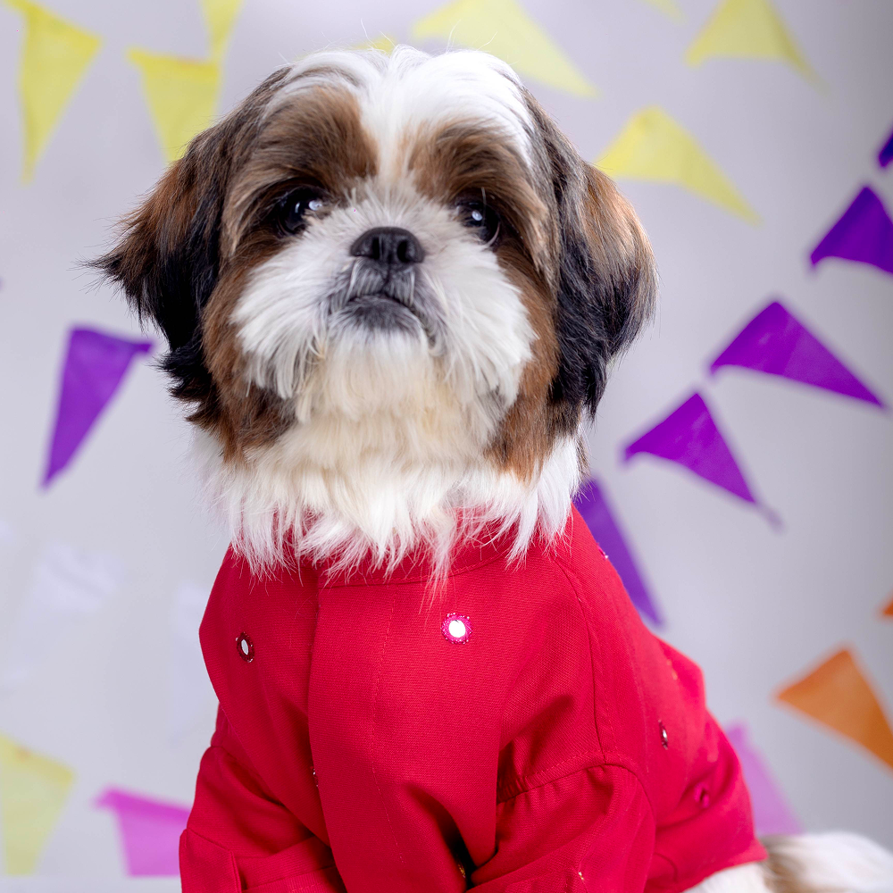 15 Furries Mirrorwork Kurta for Dogs (Electric Red)