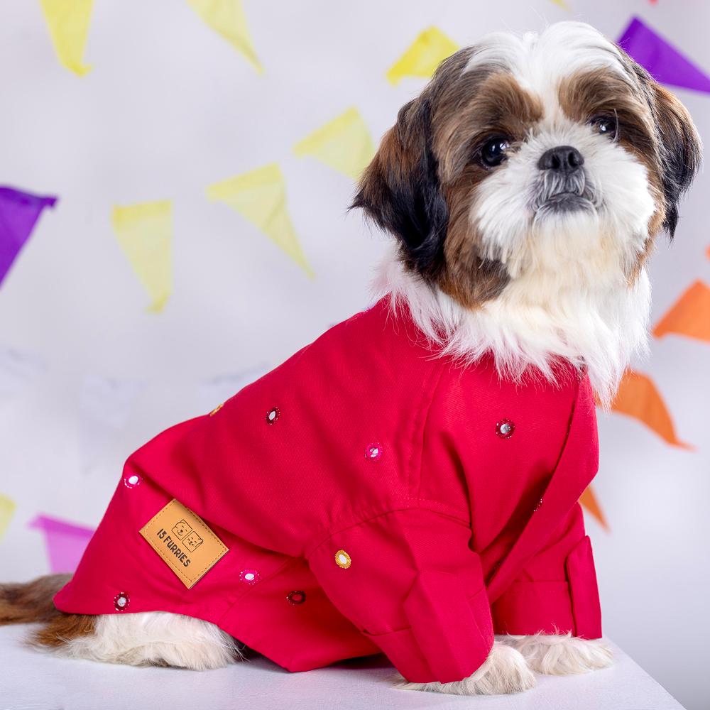 15 Furries Mirrorwork Kurta for Dogs (Electric Red)