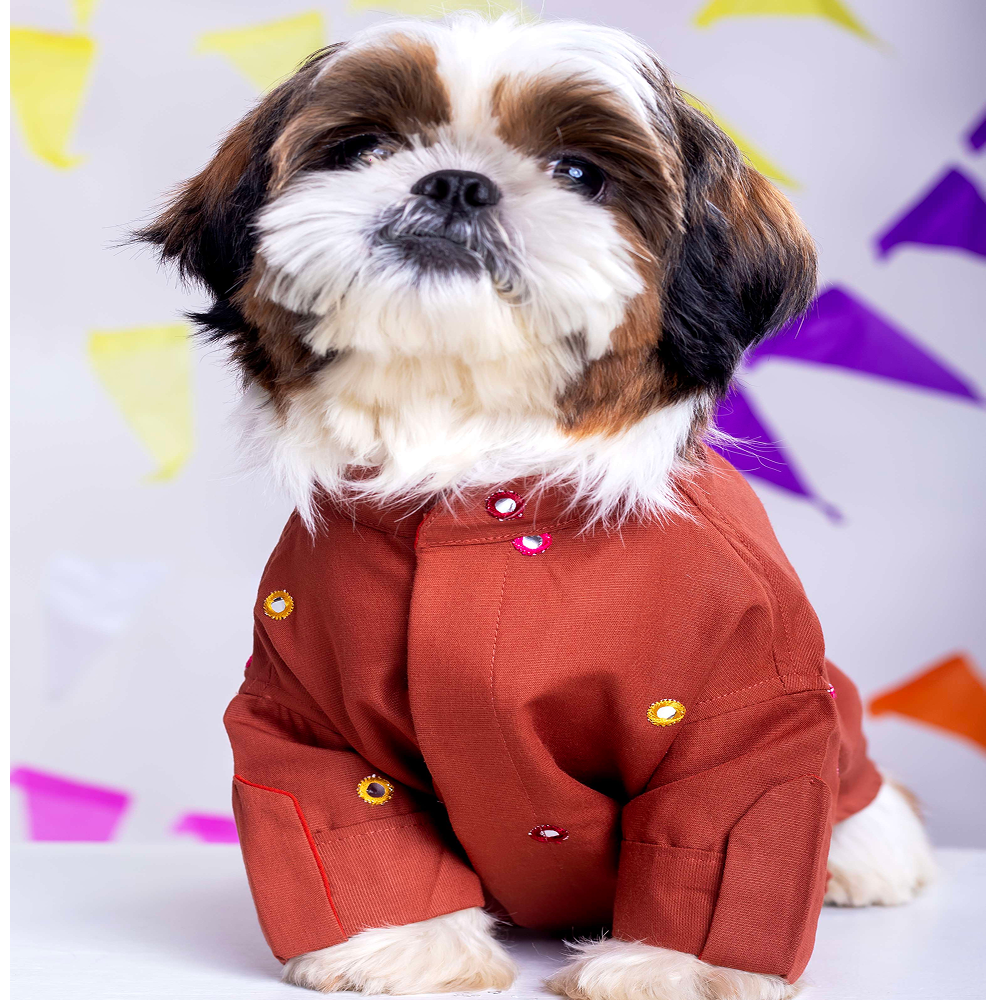 15 Furries Mirrorwork Kurta for Dogs (Rust Orange)