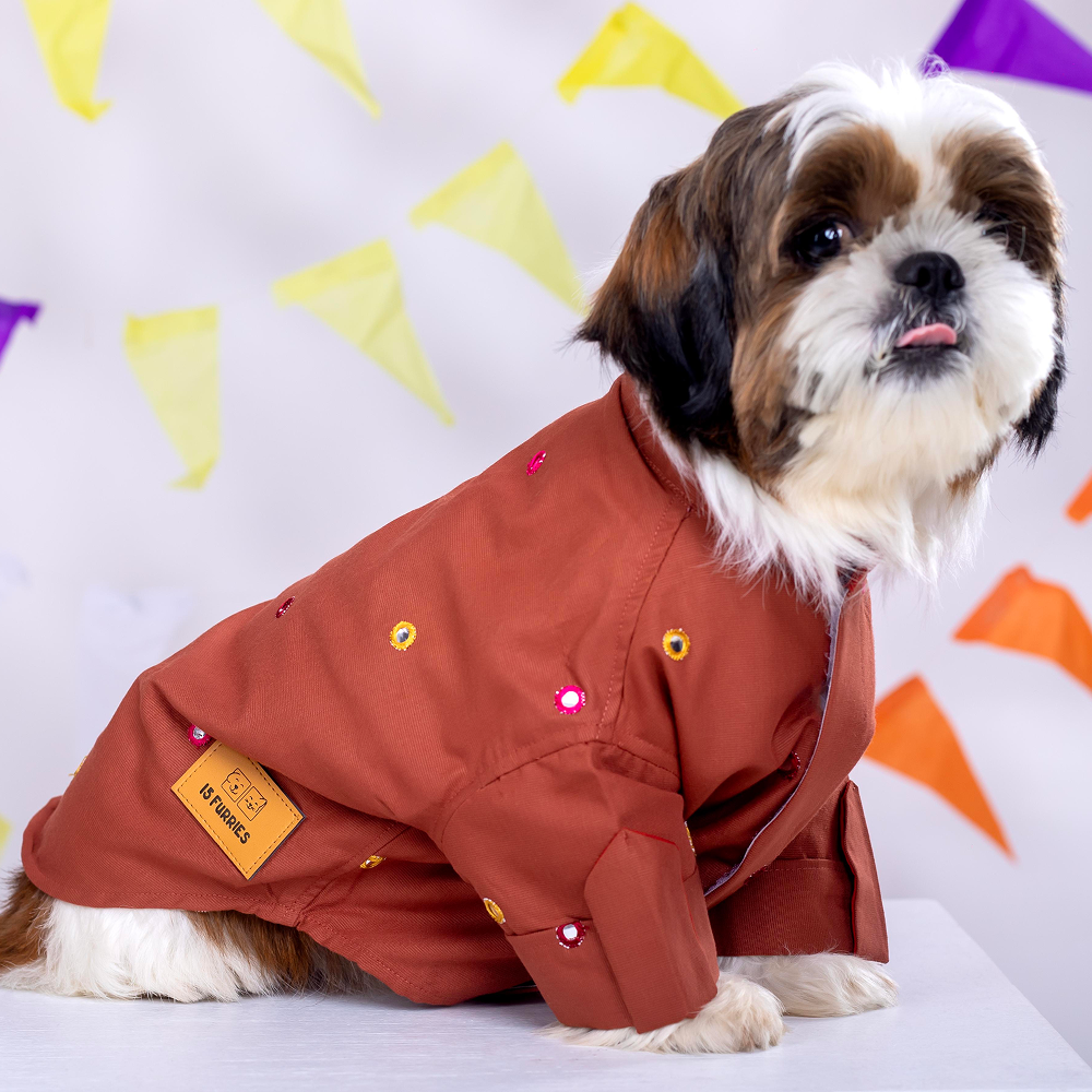 15 Furries Mirrorwork Kurta for Dogs (Rust Orange)
