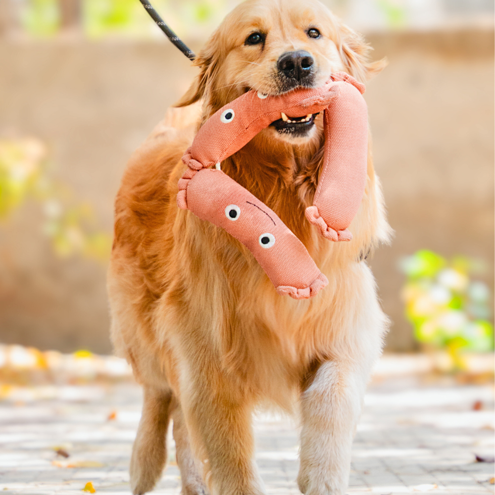 Pet Set Go Sausage Plush Toy for Dogs (Brown)