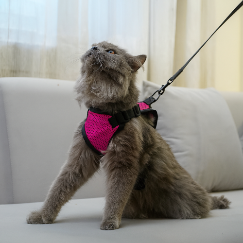 Skatrs Harness with Leash for Cats (Pink)