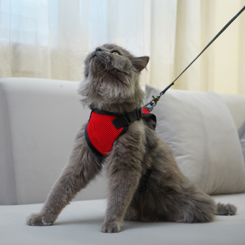 Skatrs Harness with Leash for Cats (Red)