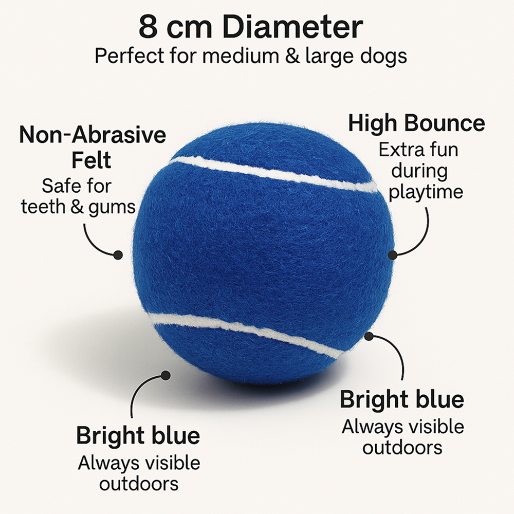 Talking Dog Club Tennis Ball Toy for Dogs (Blue)