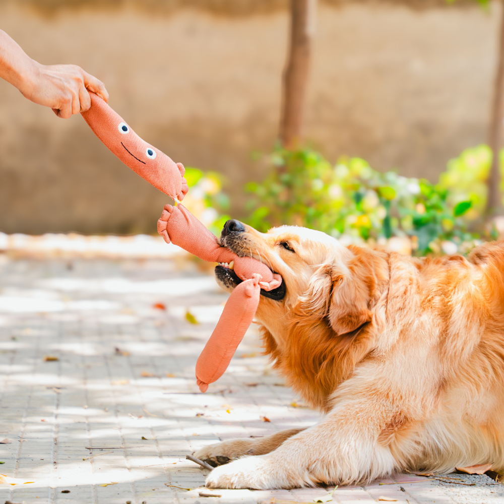 Pet Set Go Sausage Plush Toy for Dogs (Brown)