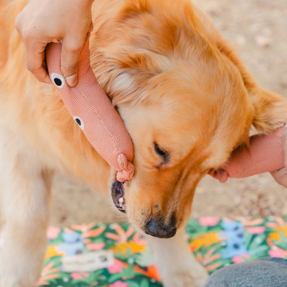 Pet Set Go Sausage Plush Toy for Dogs (Brown)