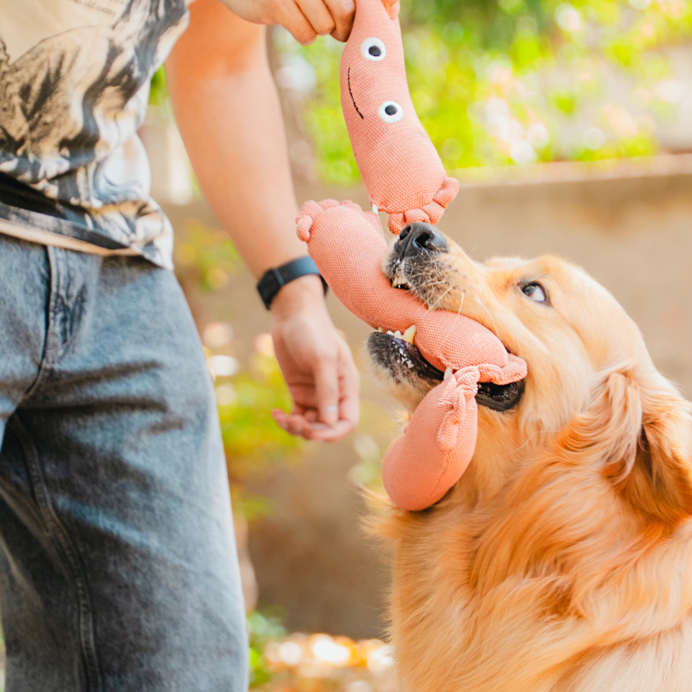 Pet Set Go Sausage Plush Toy for Dogs (Brown)