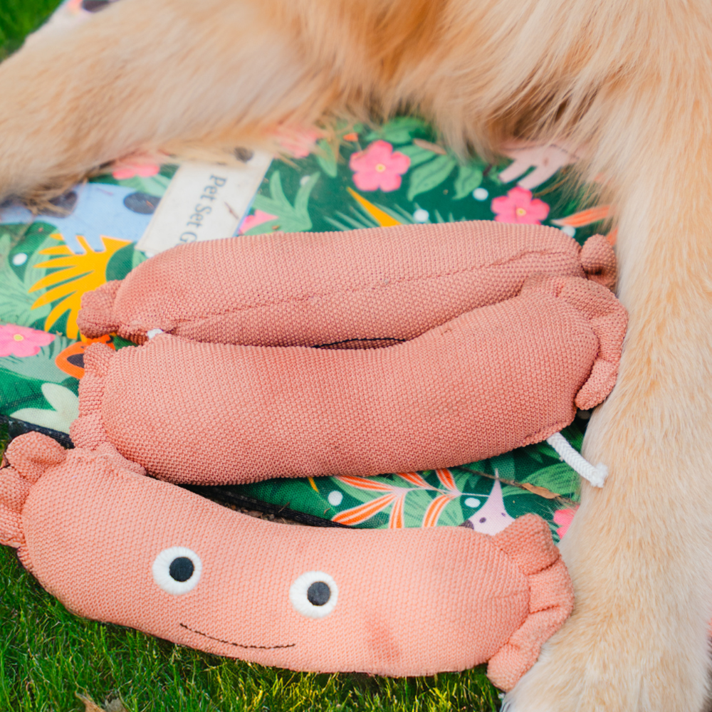 Pet Set Go Sausage Plush Toy for Dogs (Brown)