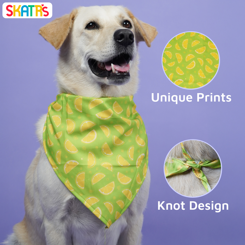 Skatrs Bandana for Dogs Perfect for Trendy Pets (Green)