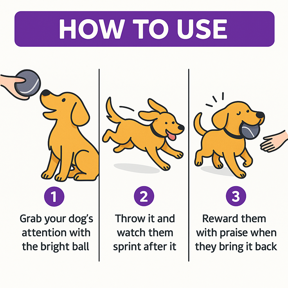 Talking Dog Club Tennis Ball Toy for Dogs (Grey)