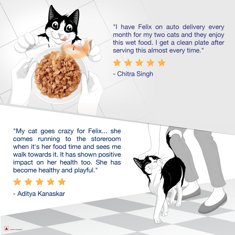 Purina Felix Chicken with Jelly Complete and Balanced Adult Cat Wet Food