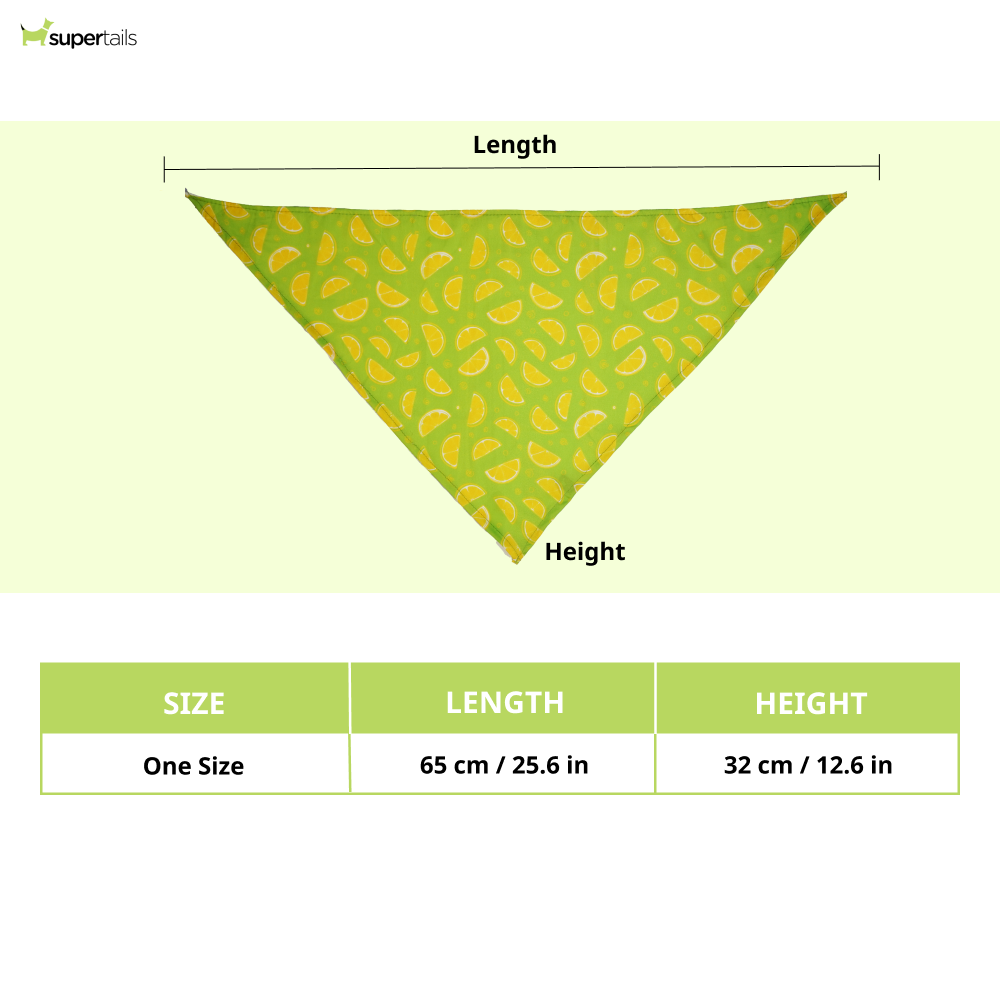 Skatrs Bandana for Dogs Perfect for Trendy Pets (Green)