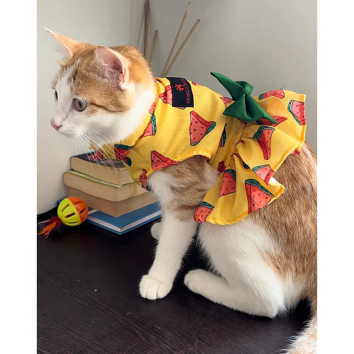Pawgypets Watermelon Dress for Cats (Yellow)