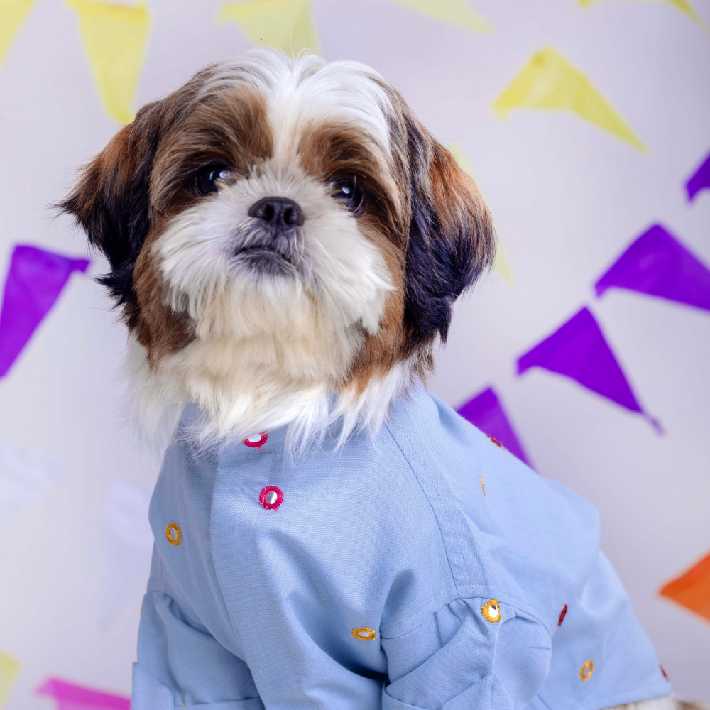 15 Furries Mirrorwork Kurta for Dogs (Blue)