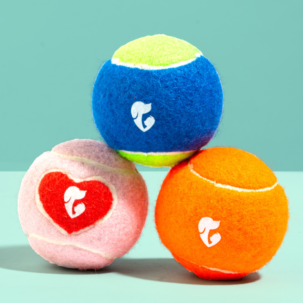 Pet Set Go Squeak Ball Toy for Dogs (Orange)