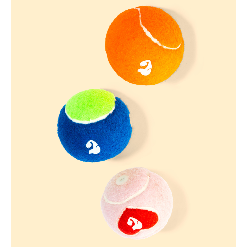 Pet Set Go Squeak Ball Toy for Dogs (Orange)