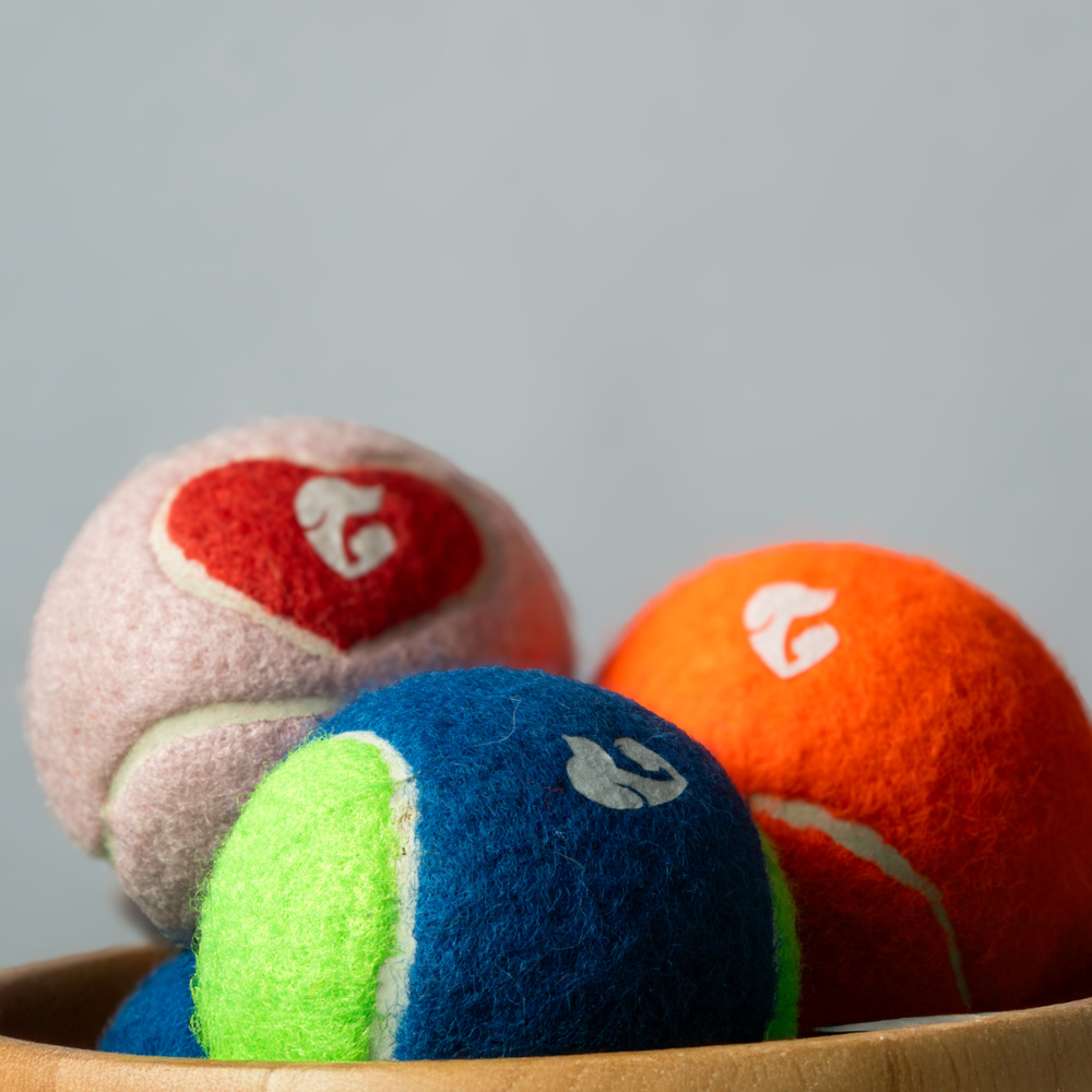 Pet Set Go Squeak Ball Toy for Dogs (Orange)