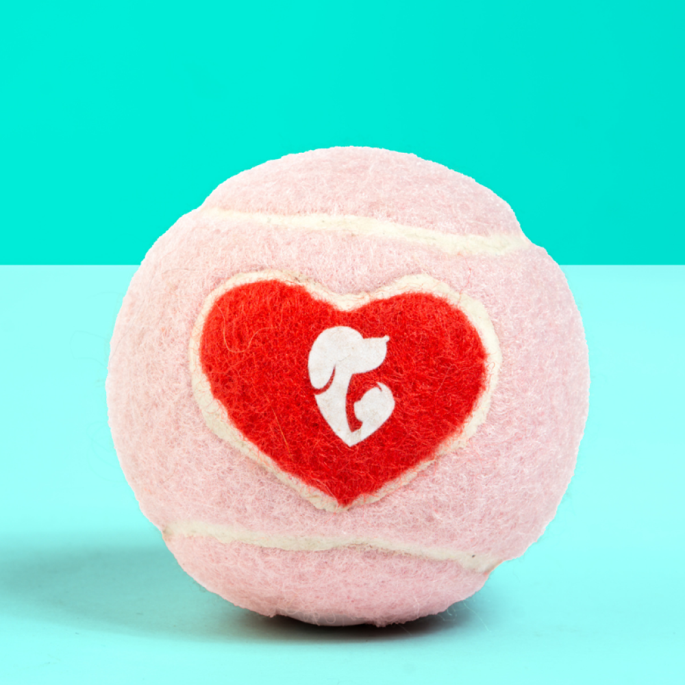 Pet Set Go Squeak Ball Toy for Dogs (Pink)