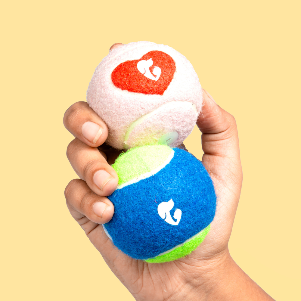 Pet Set Go Squeak Ball Toy for Dogs (Orange)