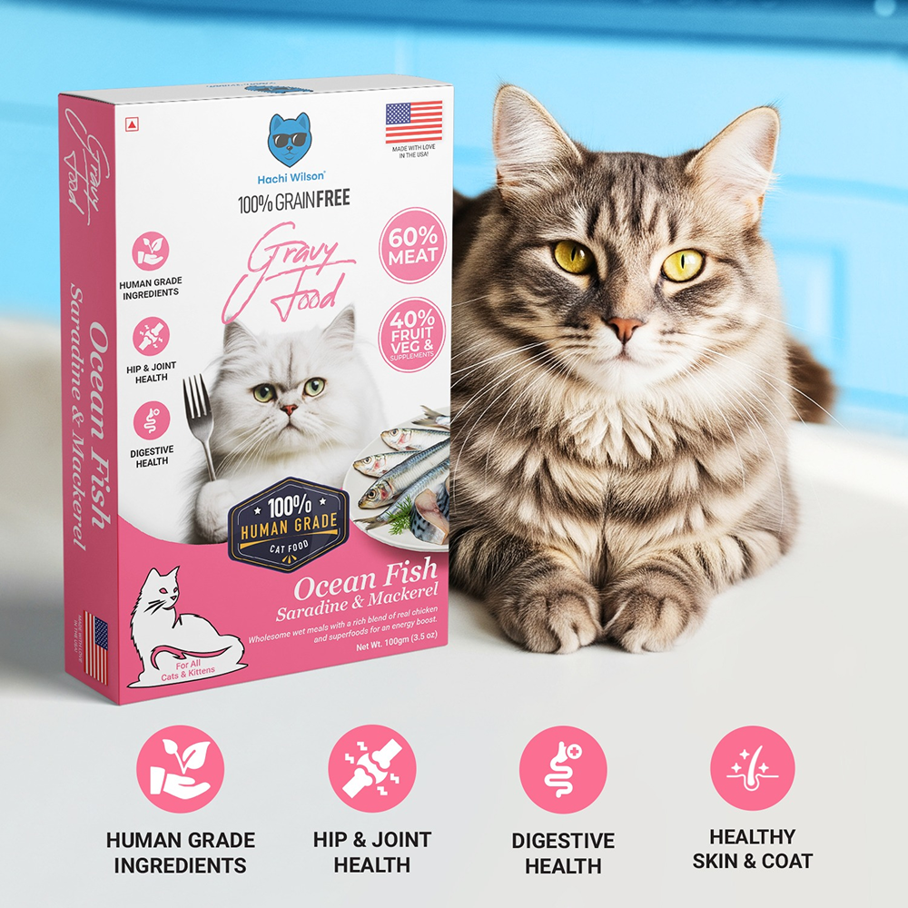 Hachi Wilson Premium Ocean Fish Sardine and Mackerel Gravy Cat Wet Food
