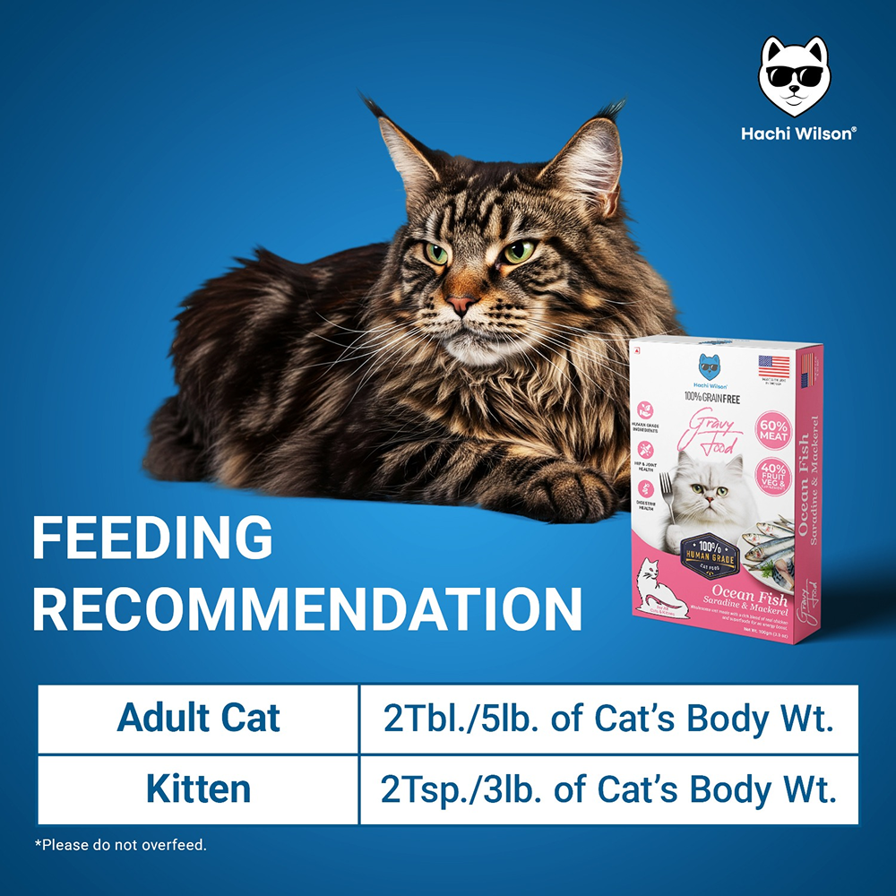 Hachi Wilson Premium Ocean Fish Sardine and Mackerel Gravy Cat Wet Food