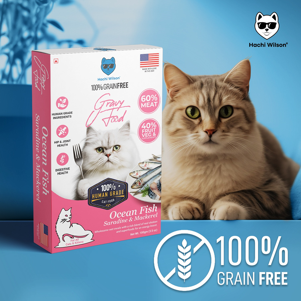 Hachi Wilson Premium Ocean Fish Sardine and Mackerel Gravy Cat Wet Food