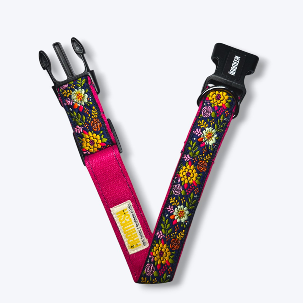 Aramesh Coastal Bloom Adjustable Collar for Dogs (Pink and Navy blue)