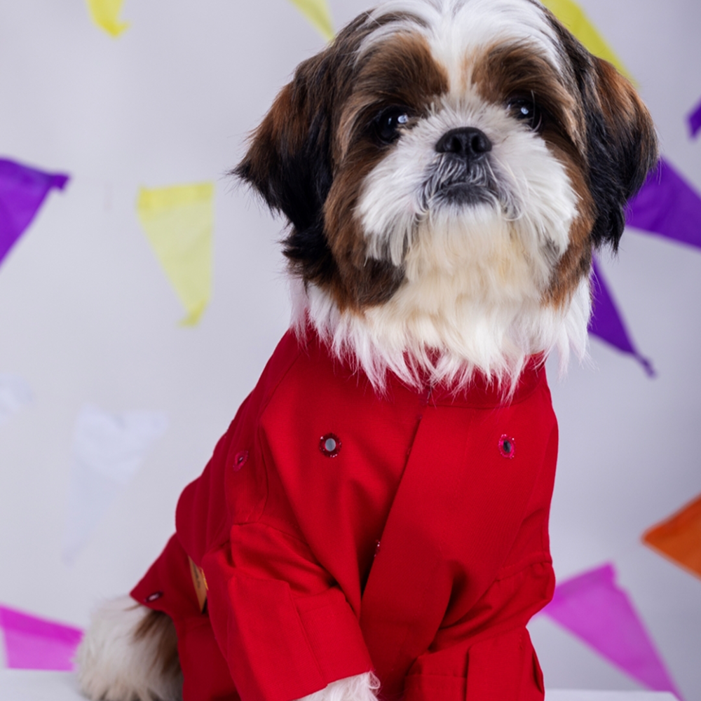 15 Furries Mirrorwork Kurta for Dogs (Electric Red)