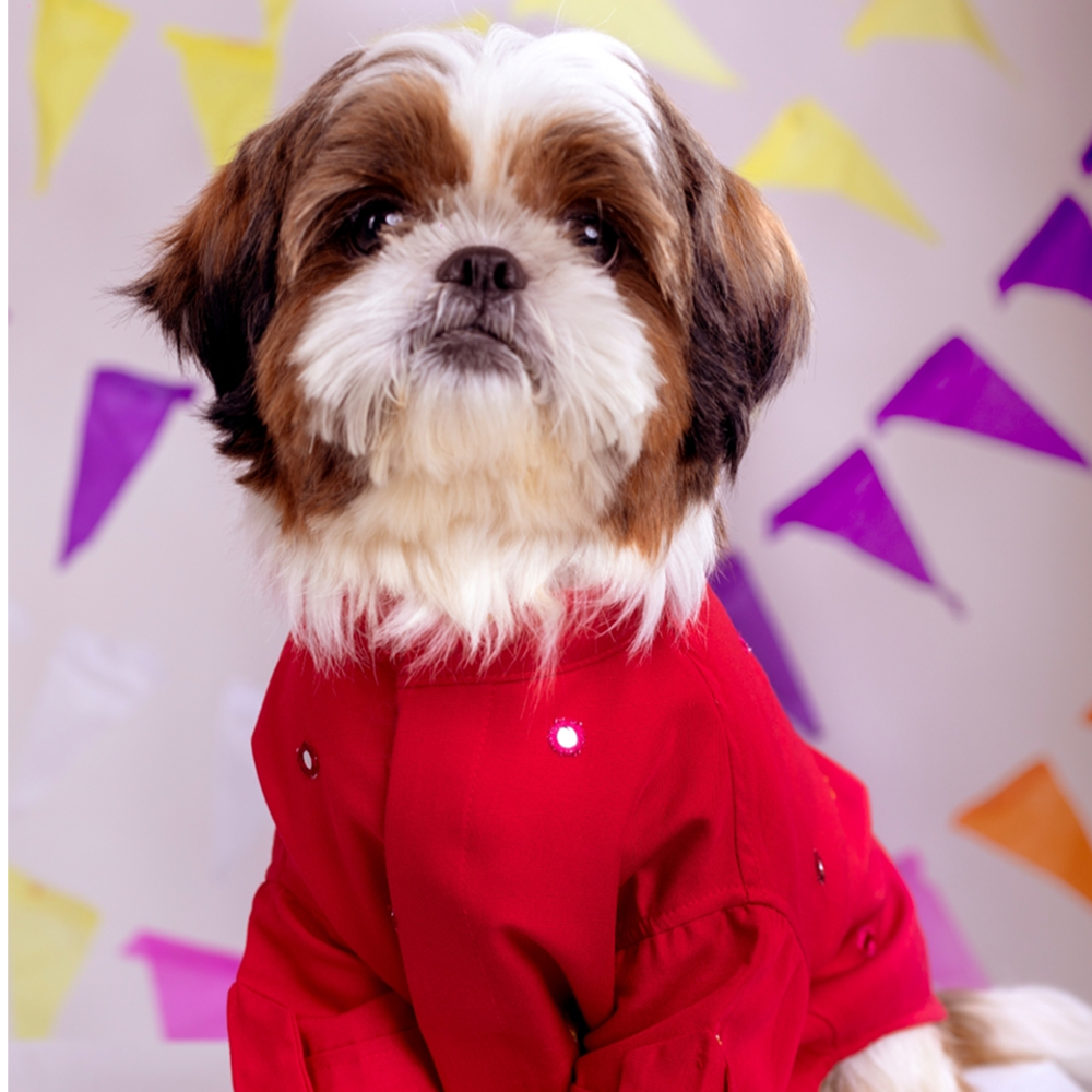 15 Furries Mirrorwork Kurta for Dogs (Electric Red)