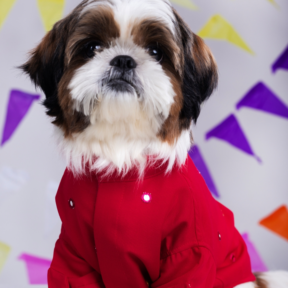 15 Furries Mirrorwork Kurta for Dogs (Electric Red)