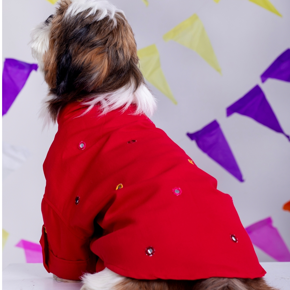 15 Furries Mirrorwork Kurta for Dogs (Electric Red)