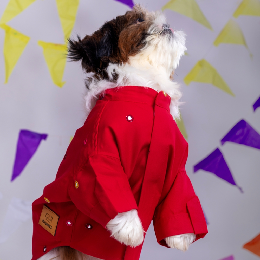 15 Furries Mirrorwork Kurta for Dogs (Electric Red)