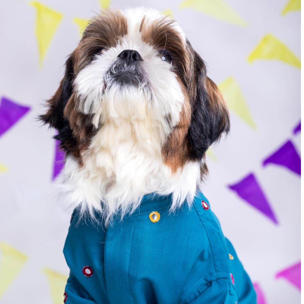 15 Furries Mirrorwork Kurta for Dogs (Teal Blue)