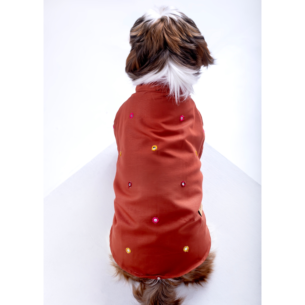 15 Furries Mirrorwork Kurta for Dogs (Rust Orange)