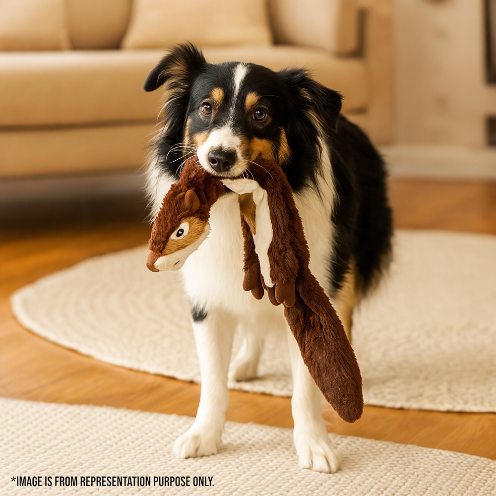 Talking Dog Club Chipmunk Stuffless Plush Toy for Dogs (Brown)