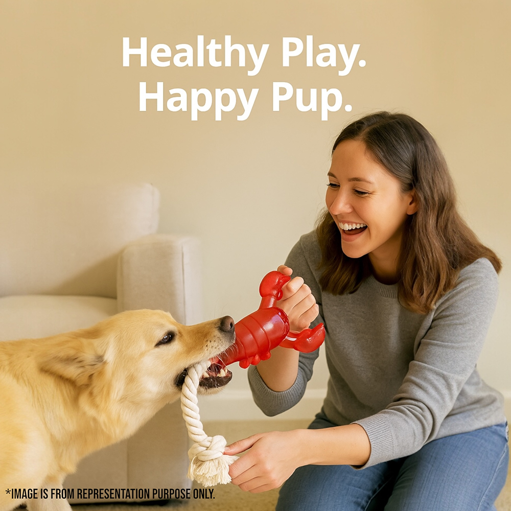 Talking Dog Club Lobster with Rope Treat Dispenser Toy for Dogs (Red)