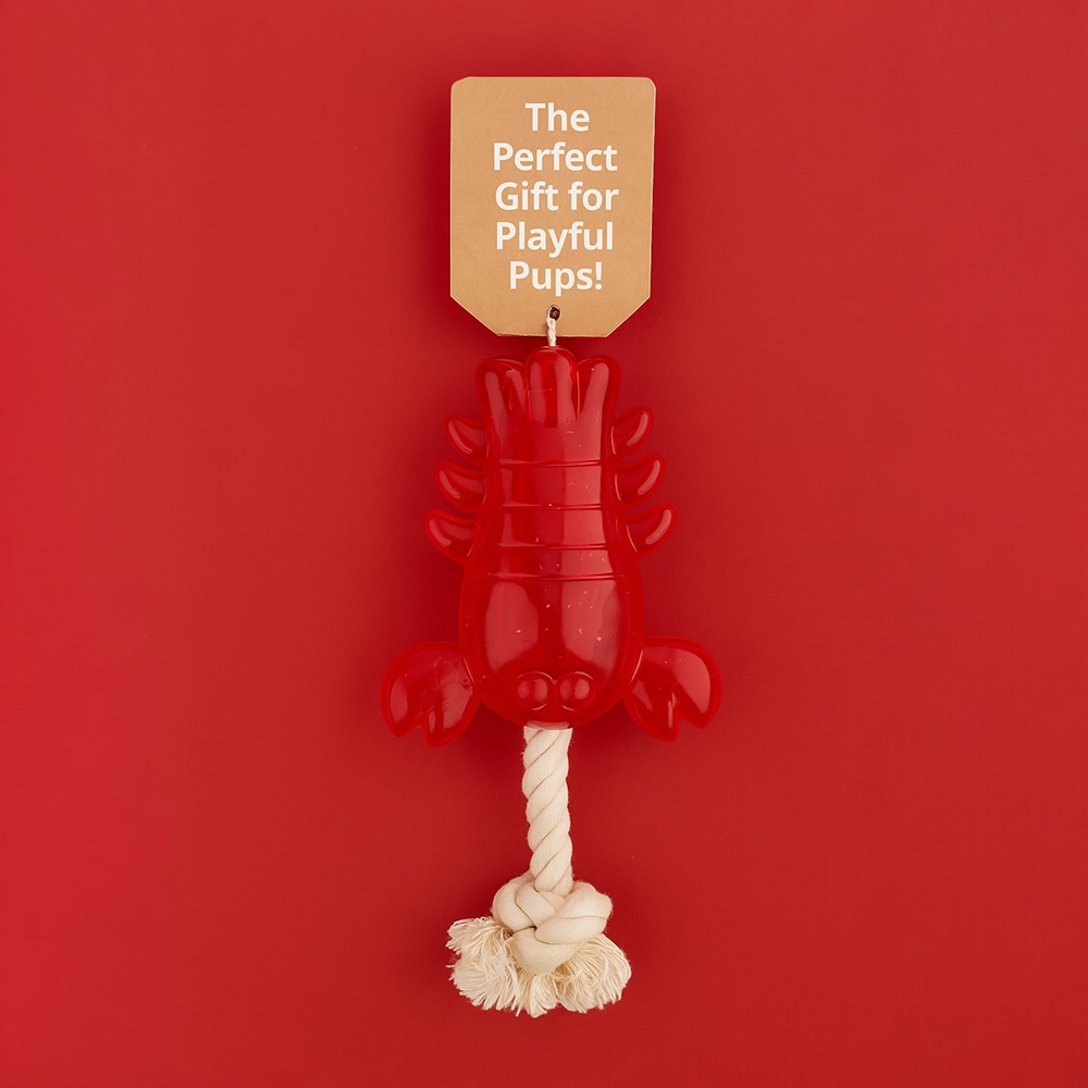 Talking Dog Club Lobster with Rope Treat Dispenser Toy for Dogs (Red)