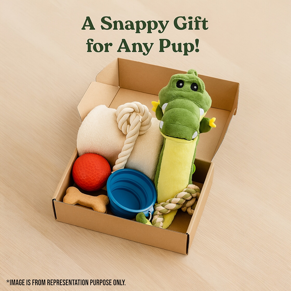 Talking Dog Club Gator Plush Toy for Dogs (Green)