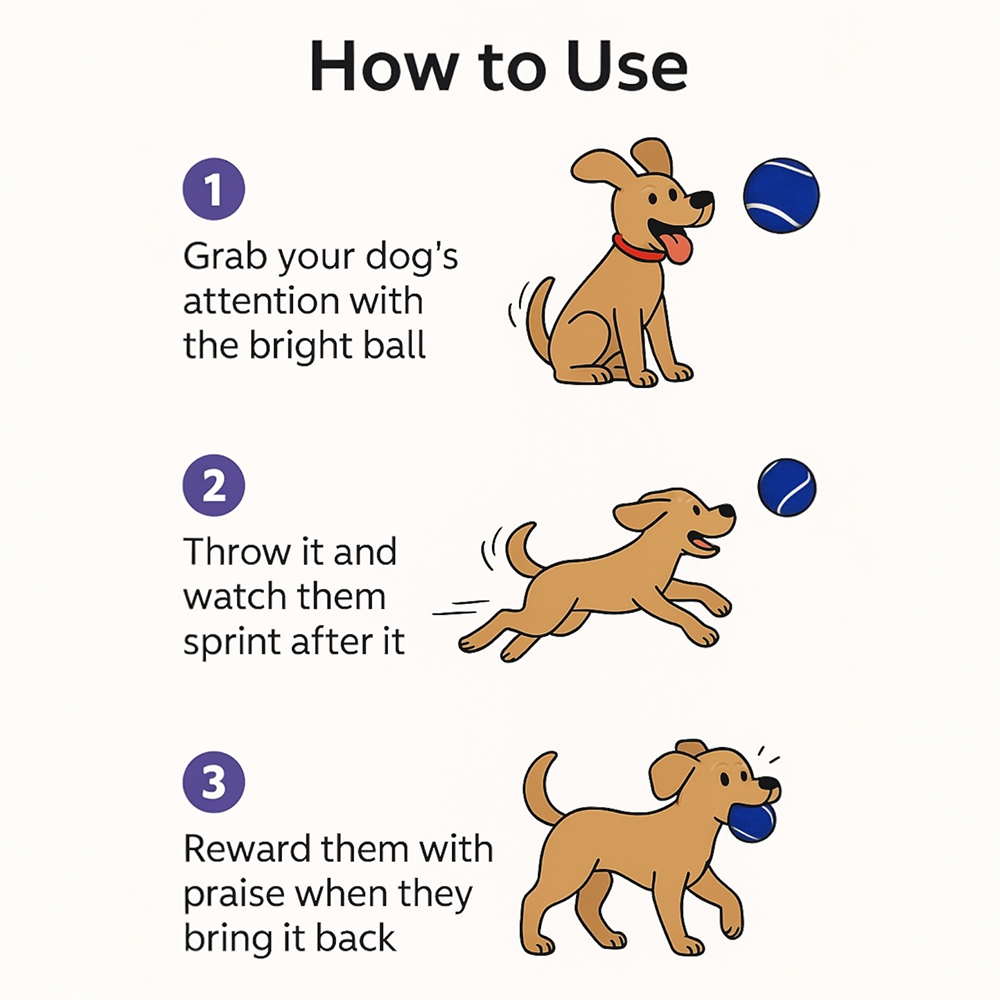 Talking Dog Club Tennis Ball Toy for Dogs (Blue)