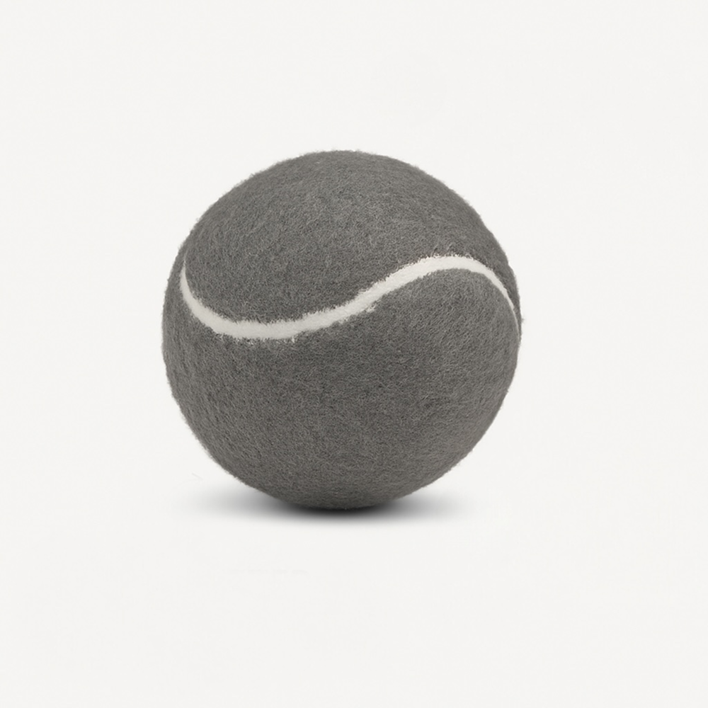 Talking Dog Club Tennis Ball Toy for Dogs (Grey)