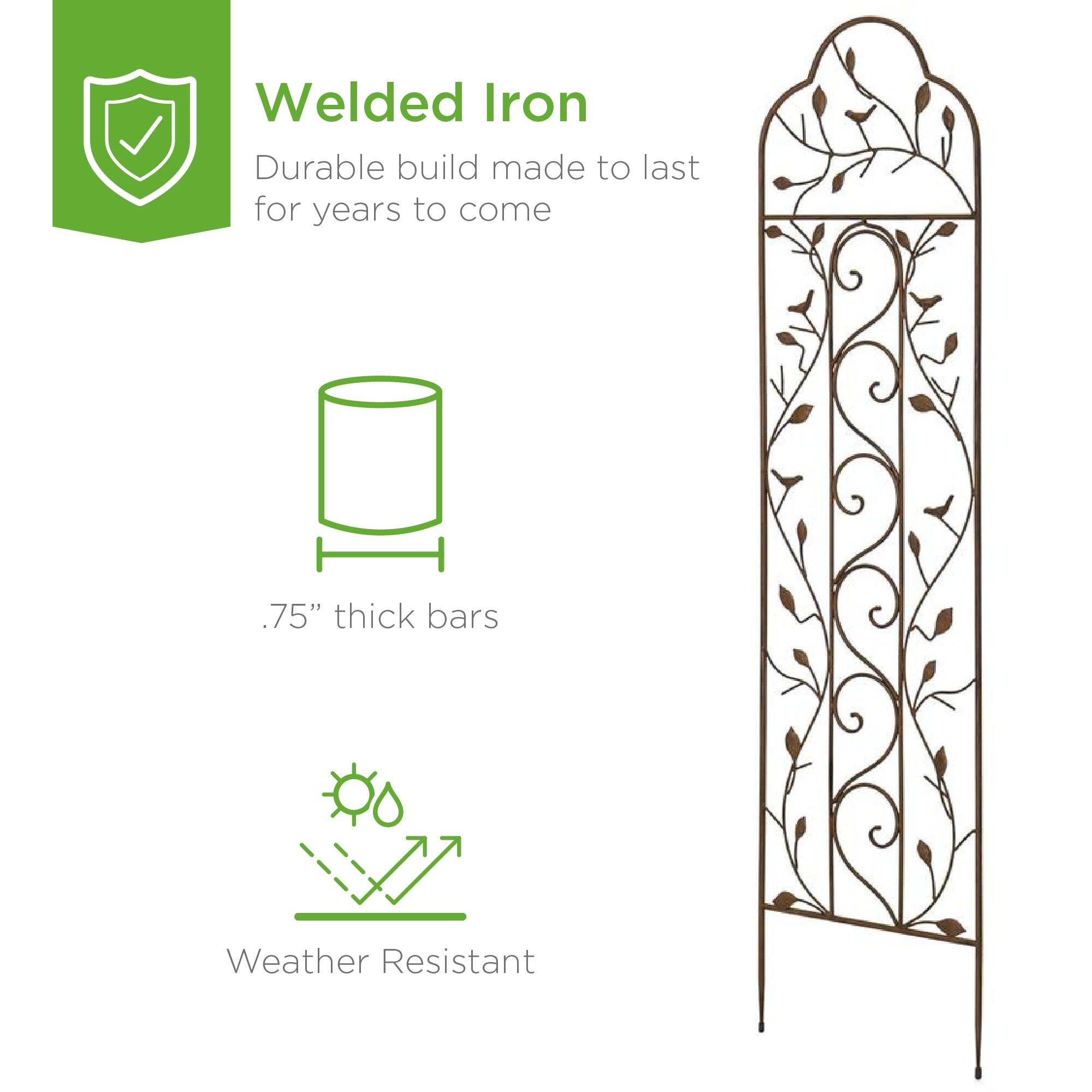 Set of 2 Iron Arched Garden Trellis