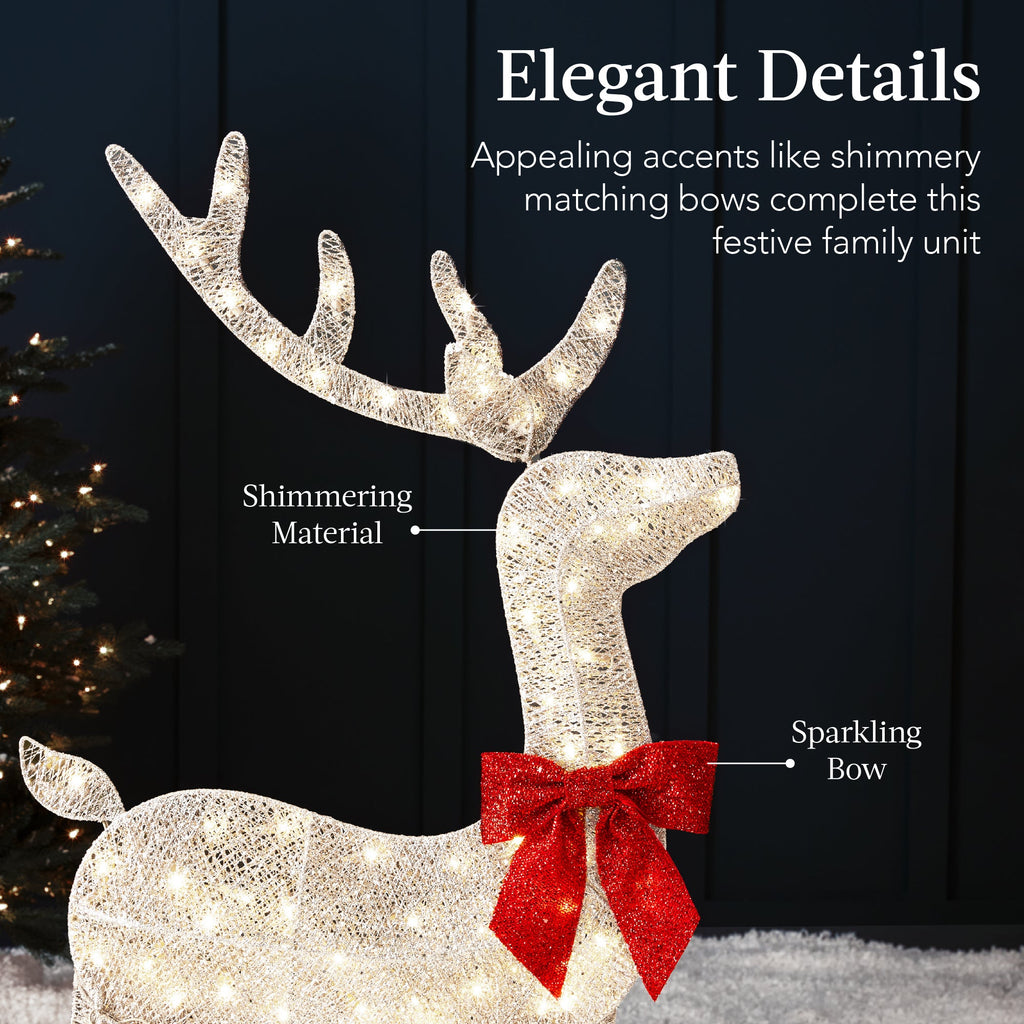 3-Piece Lighted Christmas Deer Set Outdoor Decor with 175 LED Lights