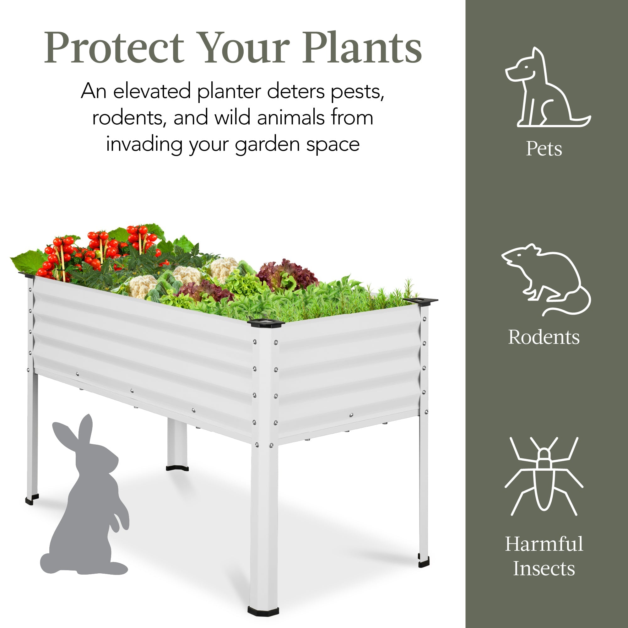 Elevated Galvanized Metal Garden Bed w/ Corner Protectors - 48x24x30in