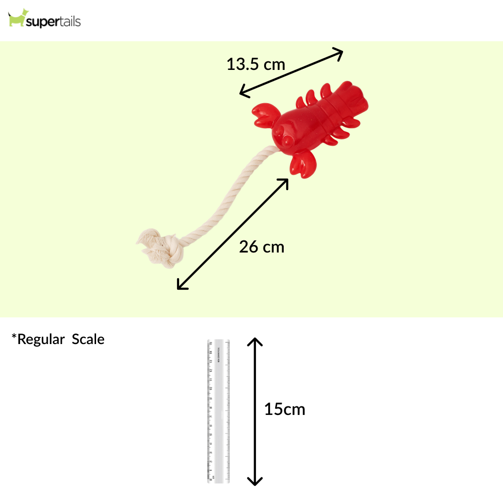 Talking Dog Club Lobster with Rope Treat Dispenser Toy for Dogs (Red)