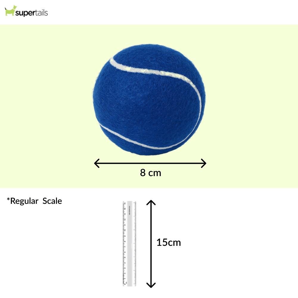 Talking Dog Club Tennis Ball Toy for Dogs (Blue)