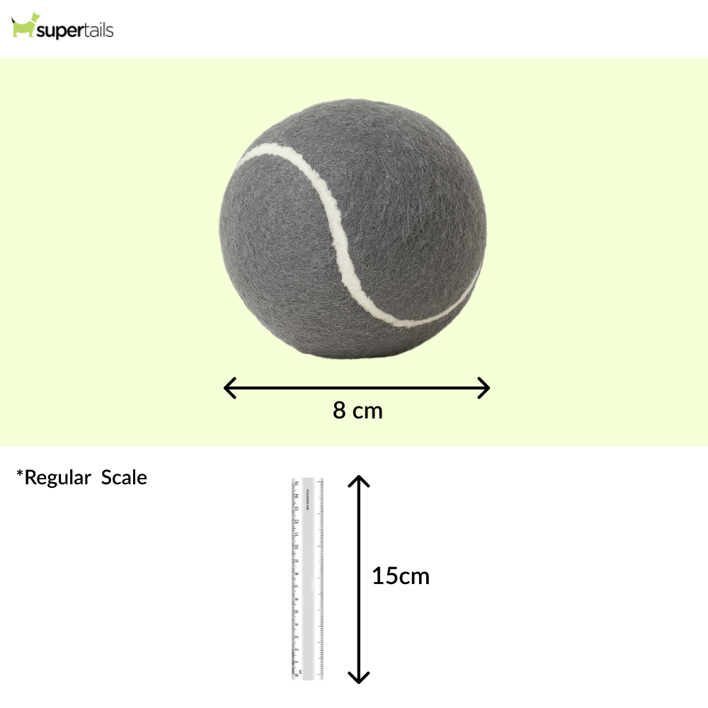 Talking Dog Club Tennis Ball Toy for Dogs (Grey)