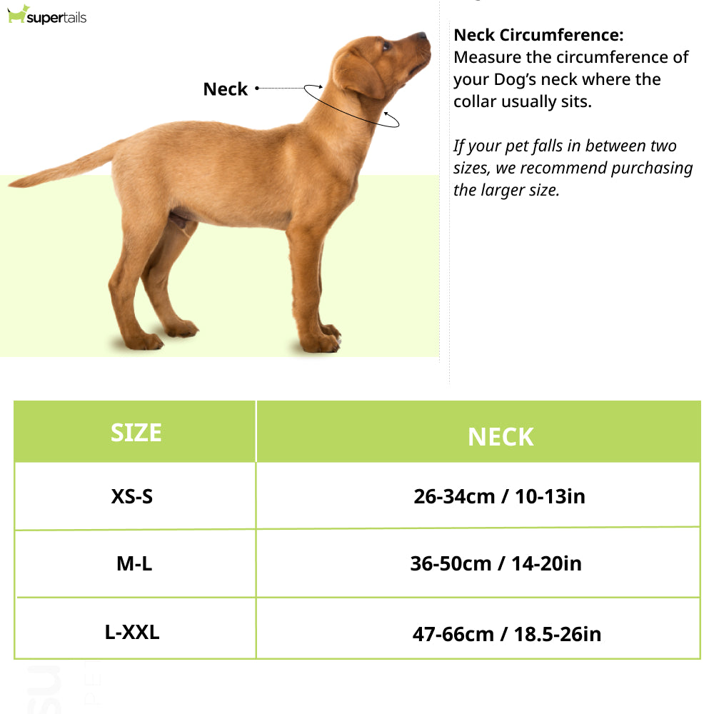 Aramesh Coastal Bloom Adjustable Collar for Dogs (Pink and Navy blue)