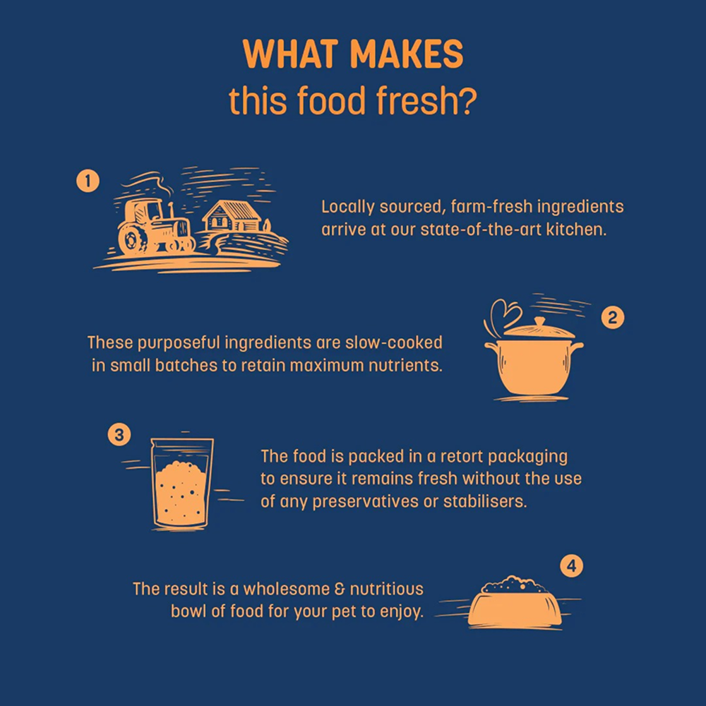 HUFT Sara's Wholesome Flavours Of India Chicken Biryani Dog Wet Food