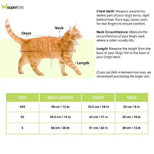 Pawgypets Watermelon Dress for Cats (Yellow)